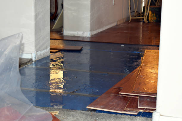 Professional Flood Damage Repair technician working in New Riegel, OH